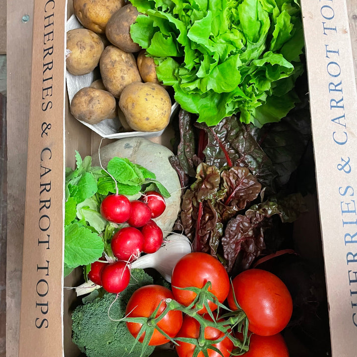 Medium Vegetables & Salad Box 4 week bundle 10% OFF