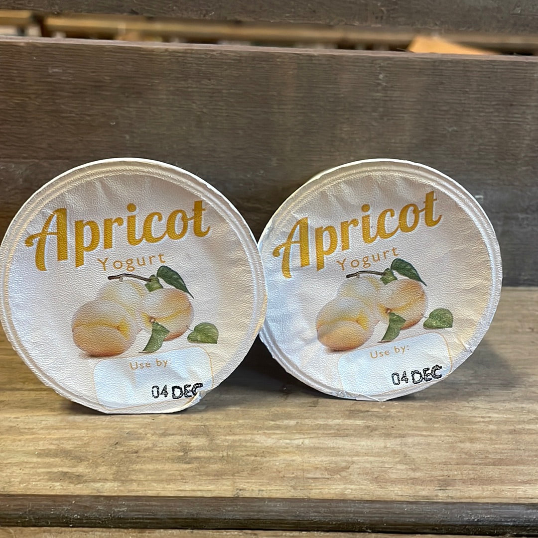 Hinxden Apricot Yoghurt 150ml