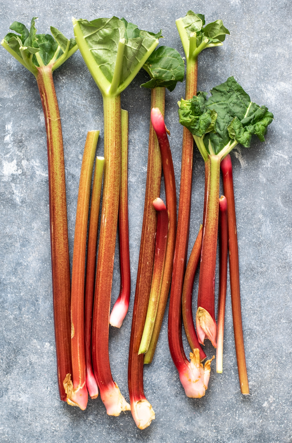 Facts and history about Rhubarb