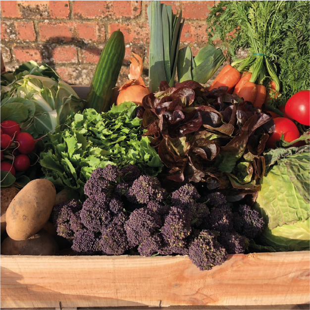 Large Veg Box - Cherries & Carrot Tops