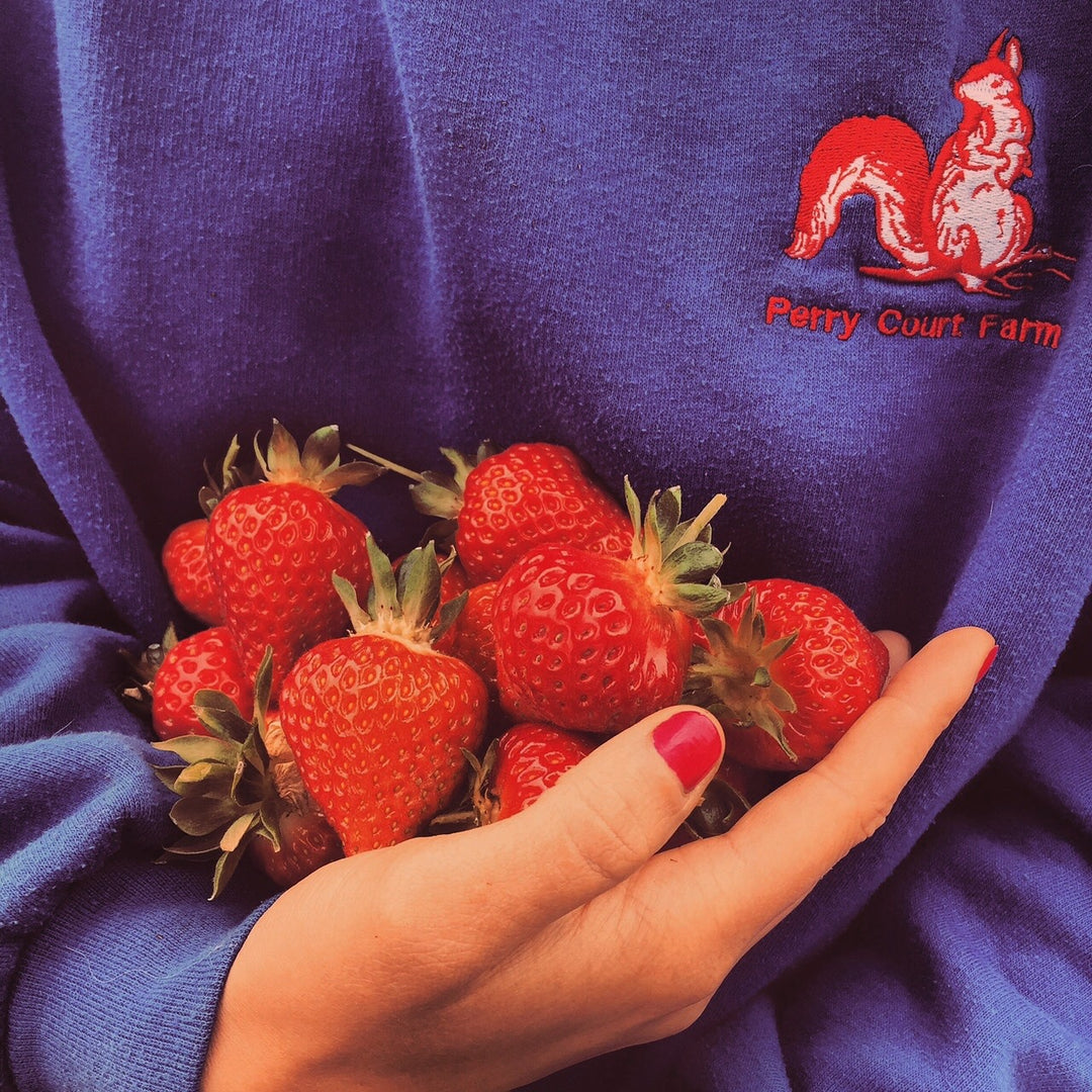 Strawberries - Cherries & Carrot Tops