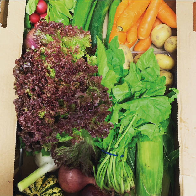 Large Veg Box - Cherries & Carrot Tops