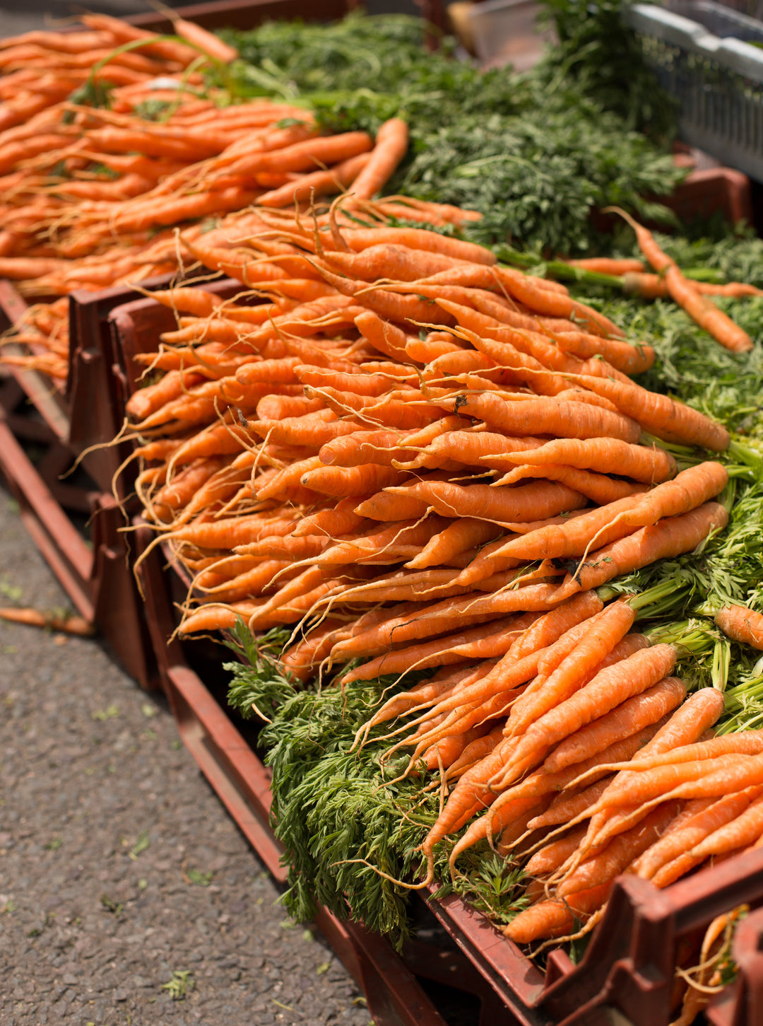 Carrots - Cherries & Carrot Tops