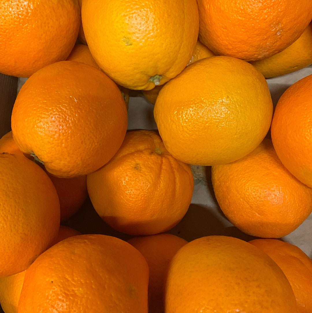Large oranges