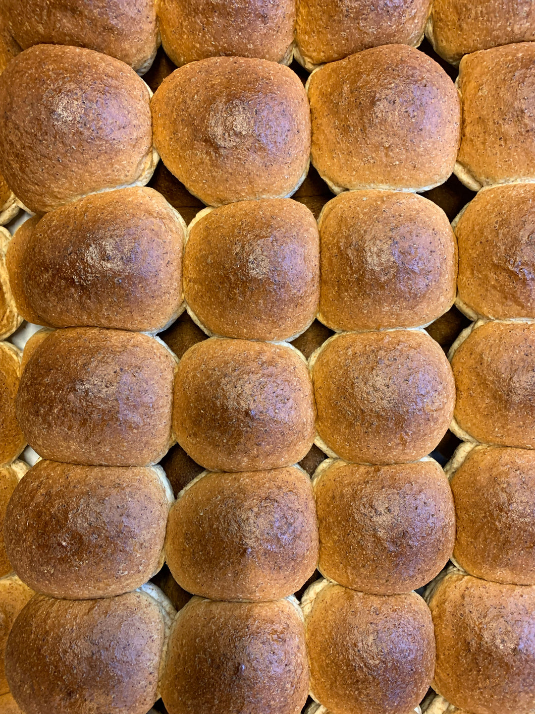 Wholemeal rolls - pack of 6