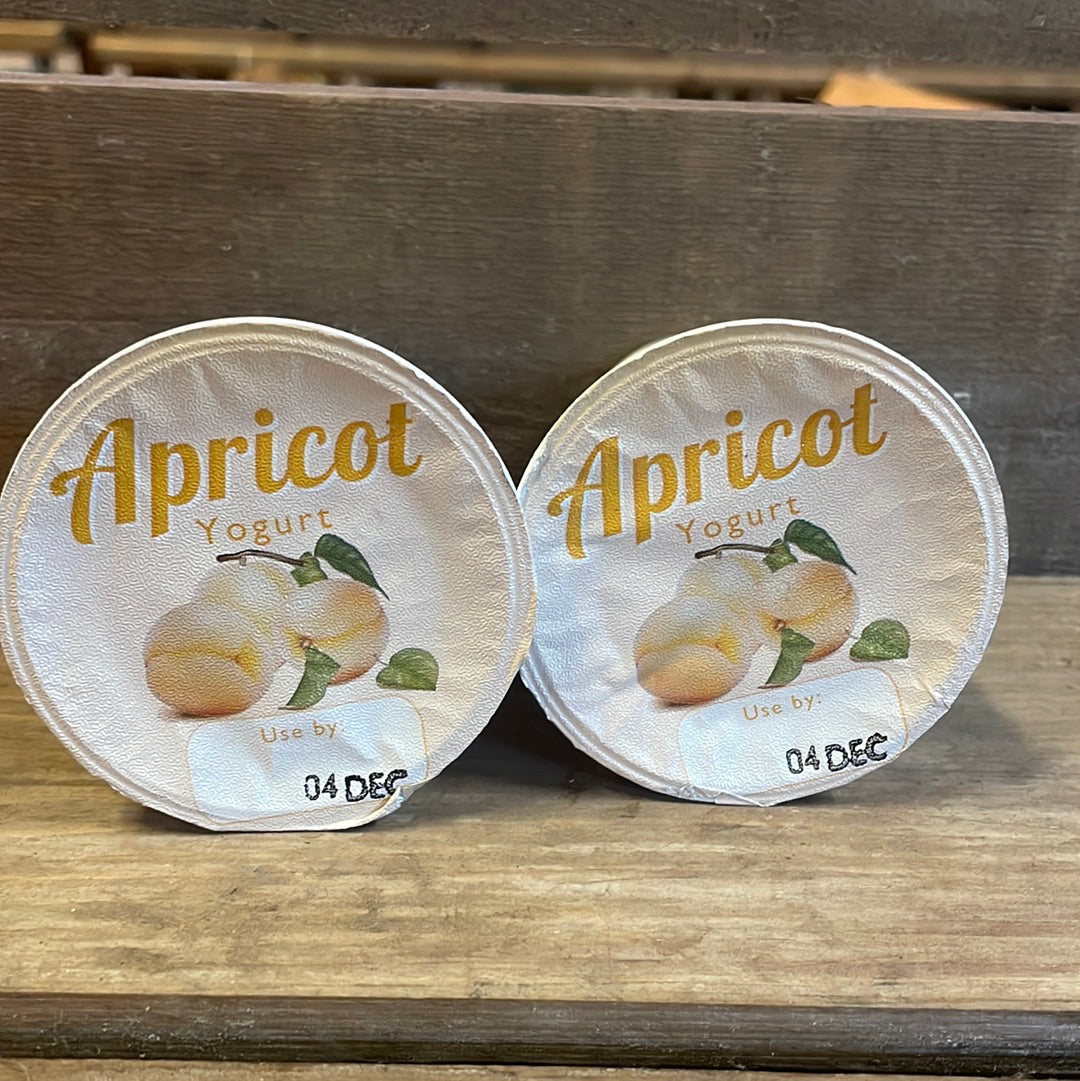 Northiam Apricot Yoghurt 150ml
