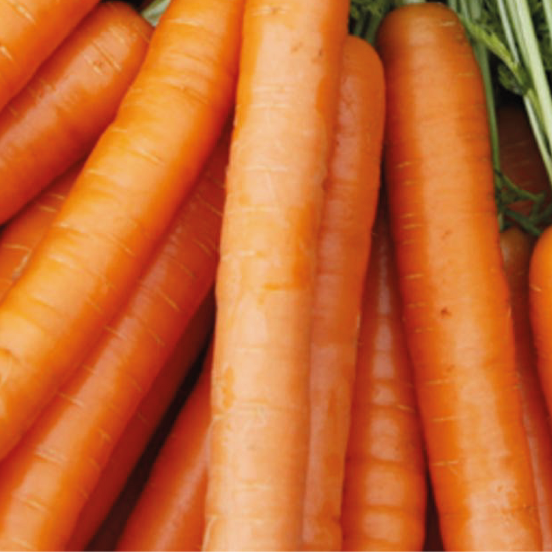 Carrots - Cherries & Carrot Tops